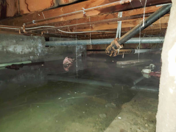 Best Water damage restoration near me  in Broken Bow, NE