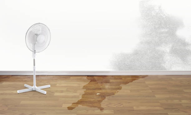 Carpet water damage restoration in NE